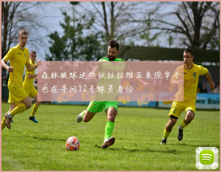 森林狼球迷热议拉拉维亚表现华子也在寻问12号球员身份
